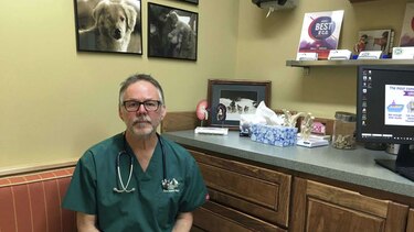 Científicos en Estados Unidos quieren estudiar marihuana veterinaria