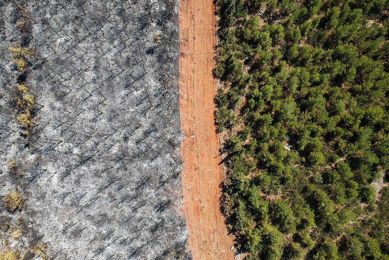 El fuego abrasa la isla griega de Eubea pero baja la intensidad en Turquía
