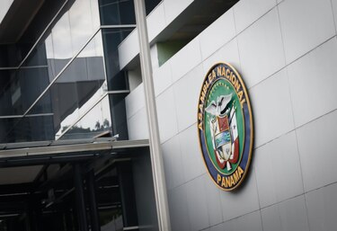 Diputados gastan más de $5.3 millones en importaciones de autos