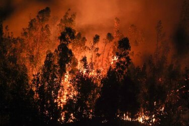 Gigantesco incendio en puerto chileno de Valparaíso deja doce muertos