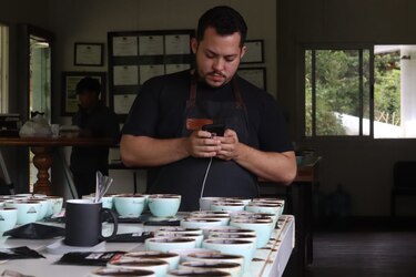 Avanza el juzgamiento de los cafés especiales de Panamá
