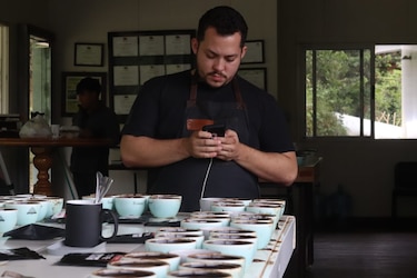 Avanza el juzgamiento de los cafés especiales de Panamá
