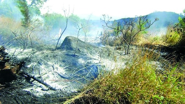 Aumentan salidas de los bomberos para combatir incendios