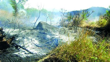 Aumentan salidas de los bomberos para combatir incendios