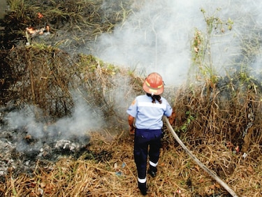 Miambiente se prepara para los incendios forestales 