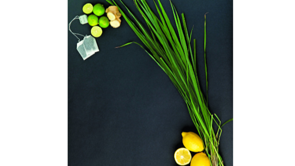 Limonaria, cedrón, citronela, hierba de limón