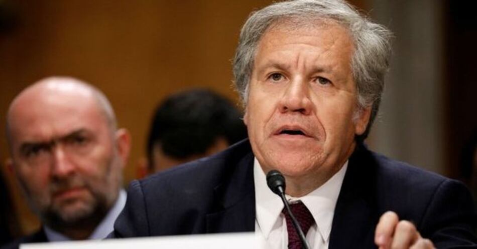 OEA designa expertos para crisis migratoria venezolana