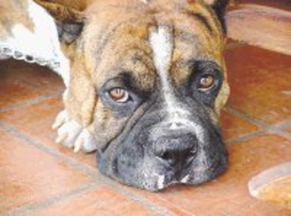 Cuidado con las uñas