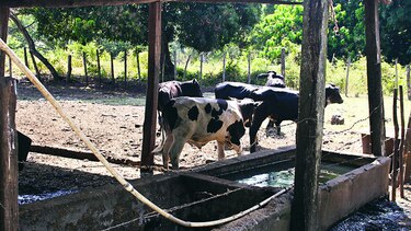 Sequía se extiende a zona de Panamá Oeste