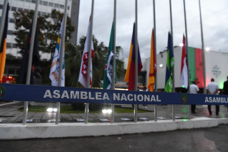 Diputados suplentes o funcionarios eventuales: la Asamblea tendrá que explicar a la fiscalía el uso de la planilla 002
