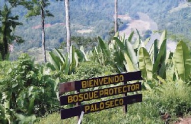 Pobre manejo ambiental registran áreas protegidas