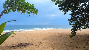 Empresarios turísticos de Isla Colón advierten que sus empresas ‘ya no pueden abrir’ por bloqueo de carreteras