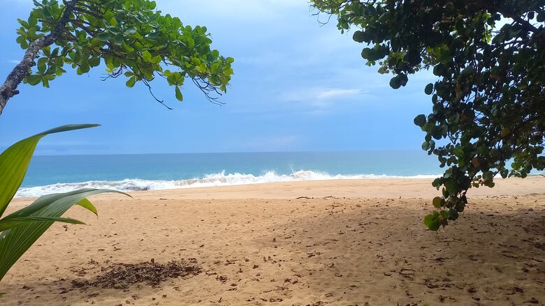Empresarios turísticos de Isla Colón advierten que sus empresas ‘ya no pueden abrir’ por bloqueo de carreteras