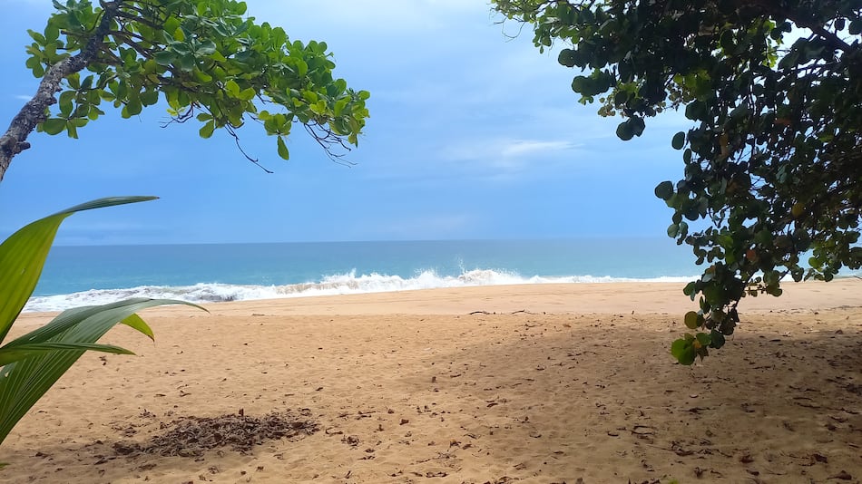 MOP pavimenta la naturaleza de Isla Colón, provincia de Bocas del Toro