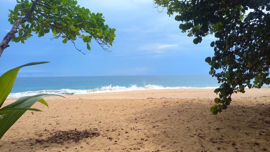 MOP pavimenta la naturaleza de Isla Colón, provincia de Bocas del Toro
