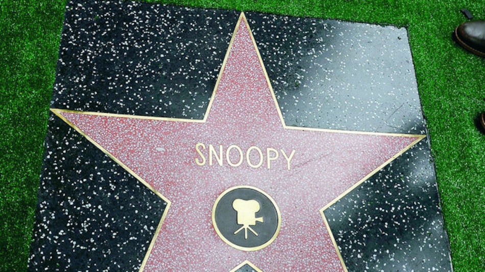 Snoopy ya tiene su estrella en Hollywood