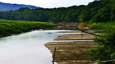 Estado de emergencia ambiental hasta mayo de 2024 causa suspicacia a ambientalistas 