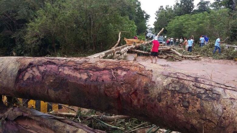 Varios árboles caídos y desprendimientos de estructuras en Veraguas