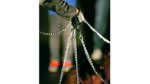 Un acto de reflexión