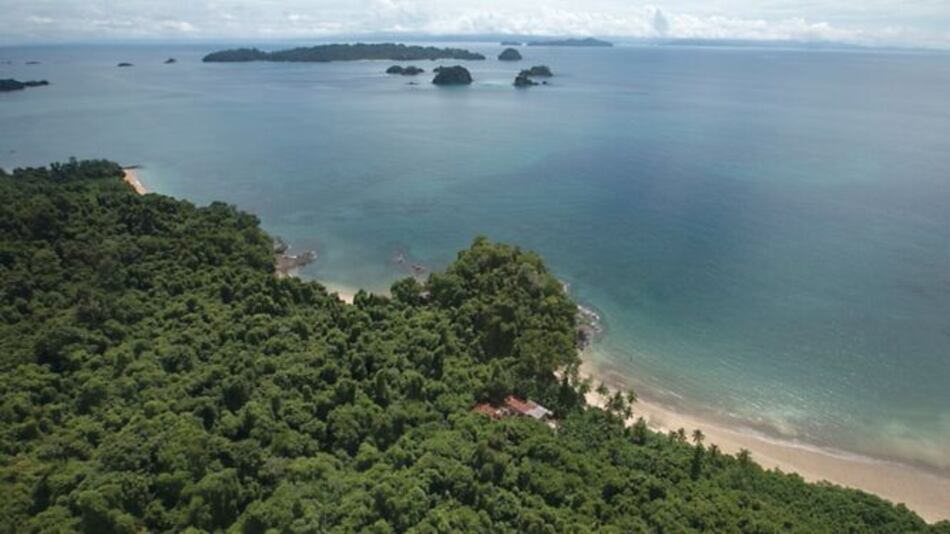 Oenegés continúan defensa legal para proteger a Coiba