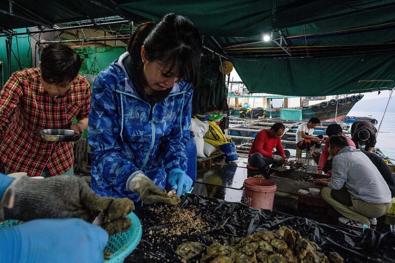 Un científico intenta resucitar la Perla de Oriente en Hong Kong
