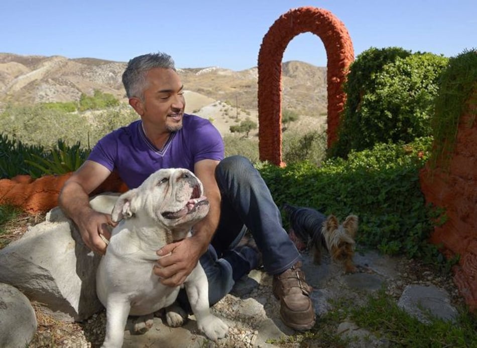Piden que National Geographic deje de transmitir 'Cesar 911'