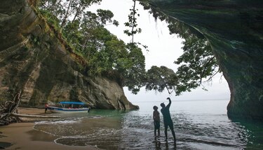 Oenegés: Miambiente cede 30% del patrimonio