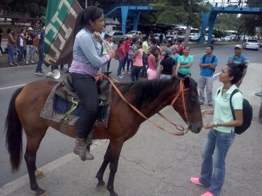 Estudiantes de Ciencias Agropecuarias de la UP reabren la vía Transístmica