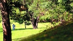 Pulmón de la ciudad, amenazado