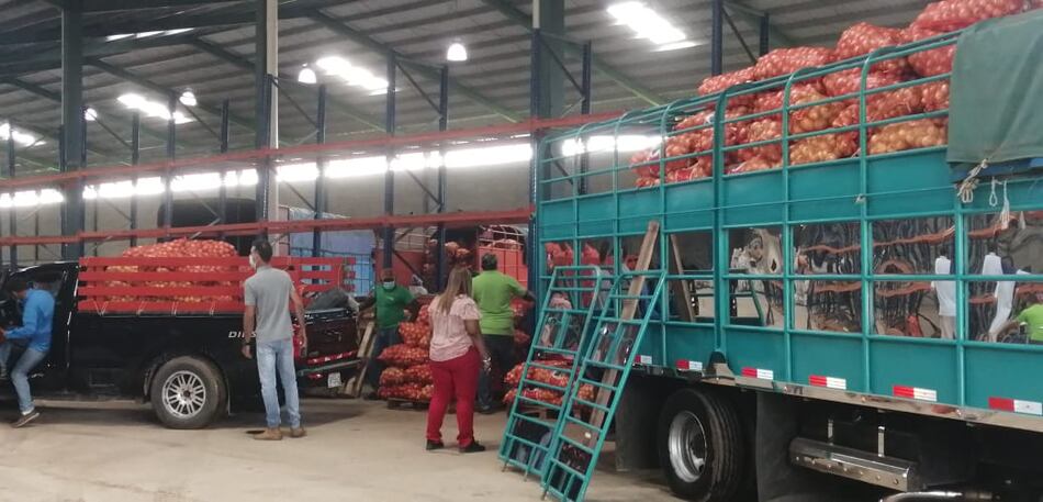 Gobierno comprará cebolla a productores coclesanos