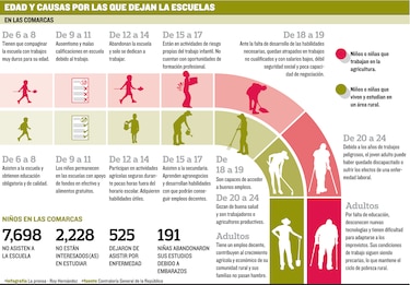 Niños abandonan la escuela para trabajar