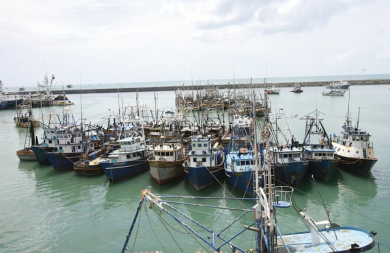 Exportadores panameños enfrentan alza de costos y pérdida de pedidos tras nuevos aranceles