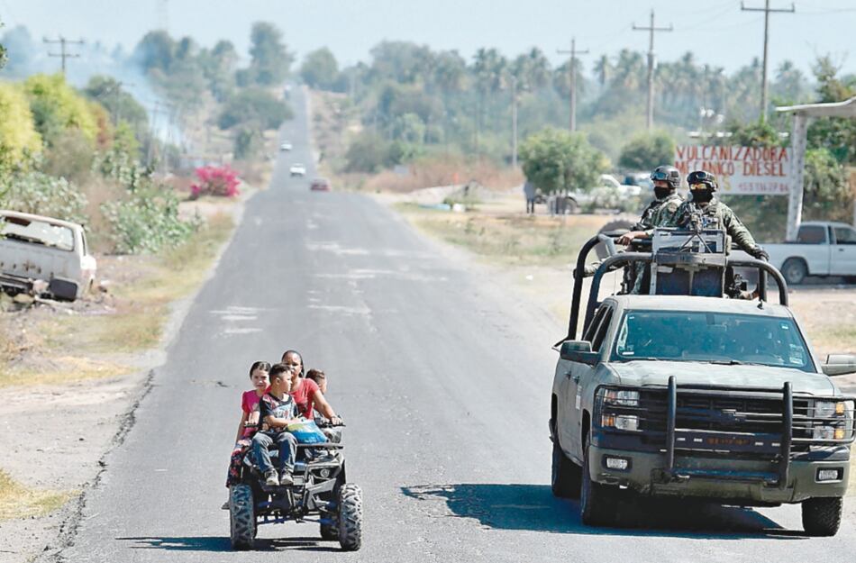 Aguacate mexicano, rehén de la violencia del narco que arrecia en Michoacán