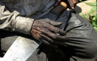 Corte IDH irá a Brasil a investigar denuncia de esclavitud