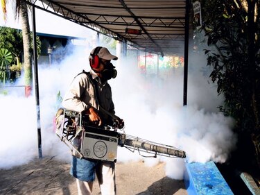 Minsa pide colaboración de ciudadanos para eliminar criaderos de mosquitos