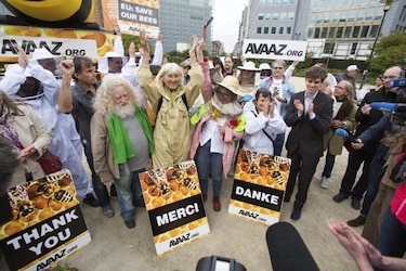 CE prohibirá parcialmente tres pesticidas que perjudican a las abejas