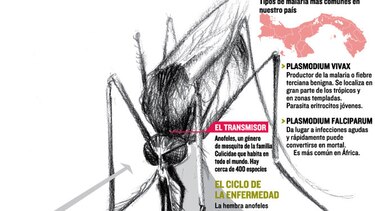 Malaria, un mal con los días contados