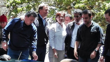 Ministra de Ambiente, Mirei Endara, renuncia al cargo