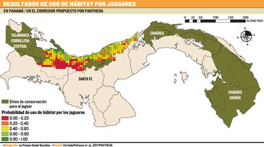 Conservar al jaguar en la comarca
