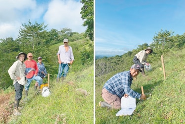 Refrescando las emisiones de CO2
