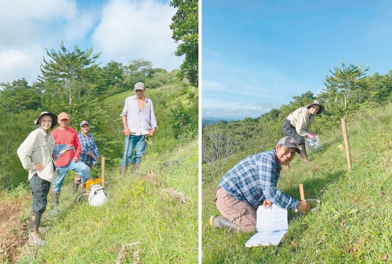 Refrescando las emisiones de CO2