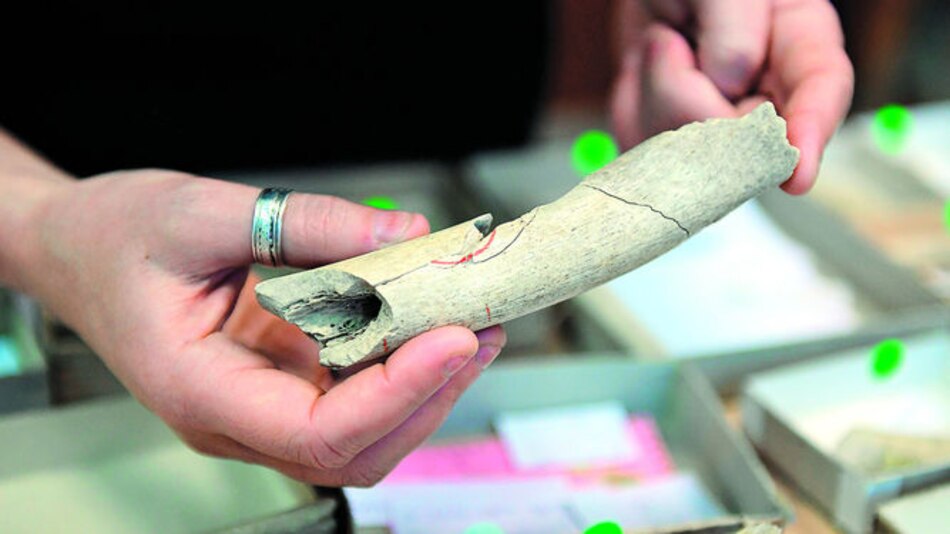 Neardentales eran caníbales