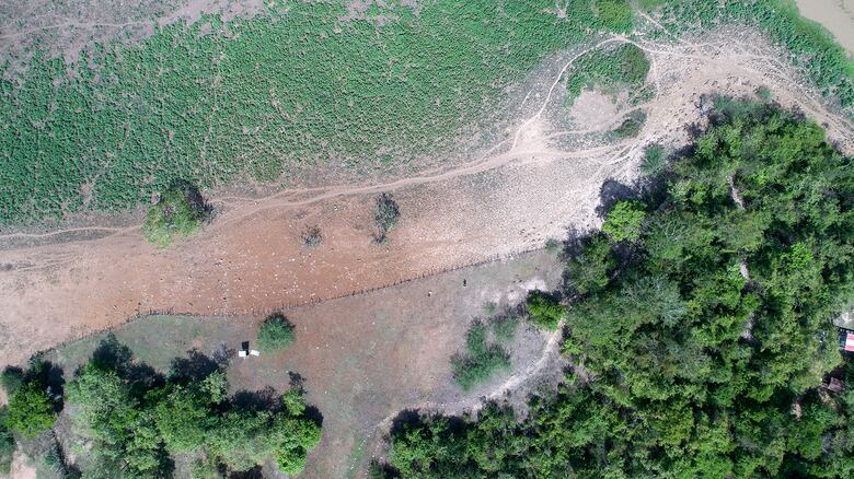 Ciénaga de Las Macanas está bajo amenaza: propuesta de ley reduce restricciones