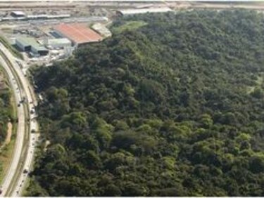 Autoridad del Canal de Panamá autorizó uso de ribera del Canal