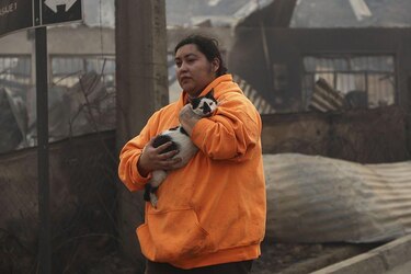 Los testimonios que muestran la gravedad de los incendios en Chile que dejan al menos 19 muertos