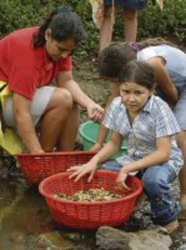 Honduras estima que su PIB crecerá entre 6.5% a 7%