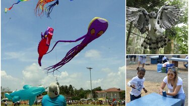 Fin de semana de actividades: Cometas, yoga, Festi Harpía y buenas acciones