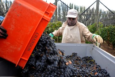 Instalarán hub para reexportar vino argentino en ZLC