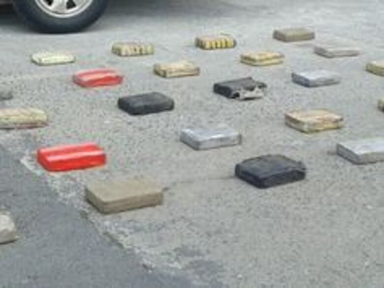 Decomisan 220 kilos de cocaína en Chame