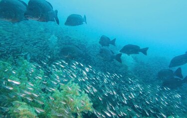 Los efectos de los cambios